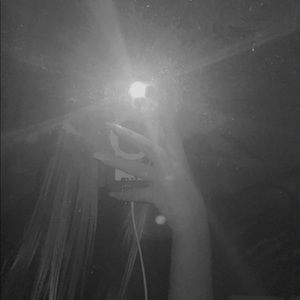 Meet your Posher, Rose